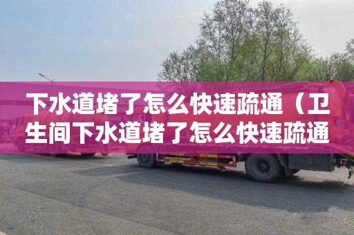 下水道堵了怎么快速疏通（卫生间下水道堵了怎么快速疏通）