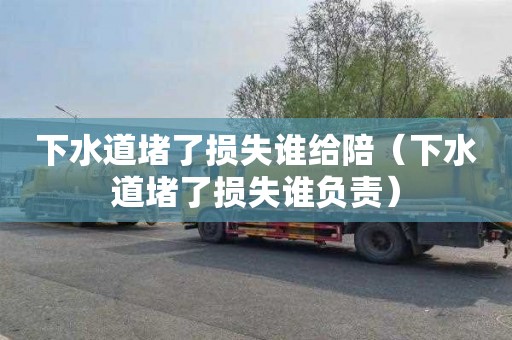 下水道堵了损失谁给陪（下水道堵了损失谁负责）