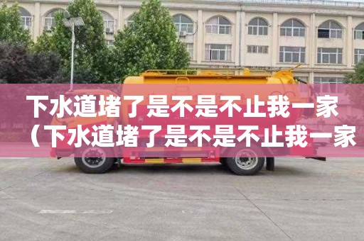 下水道堵了是不是不止我一家（下水道堵了是不是不止我一家人）
