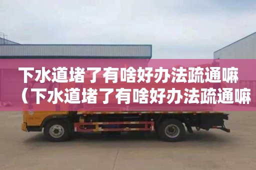 下水道堵了有啥好办法疏通嘛（下水道堵了有啥好办法疏通嘛）