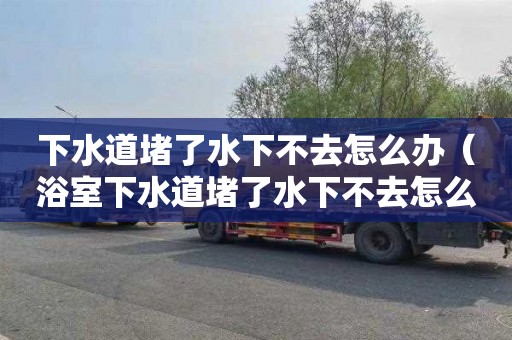下水道堵了水下不去怎么办（浴室下水道堵了水下不去怎么办）