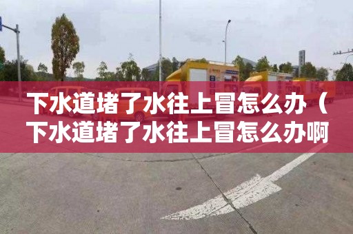 下水道堵了水往上冒怎么办（下水道堵了水往上冒怎么办啊）