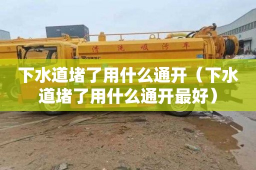 下水道堵了用什么通开（下水道堵了用什么通开最好）