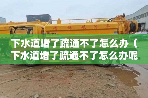 下水道堵了疏通不了怎么办（下水道堵了疏通不了怎么办呢）