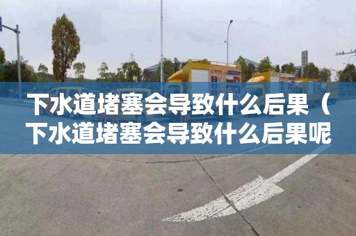 下水道堵塞会导致什么后果（下水道堵塞会导致什么后果呢）