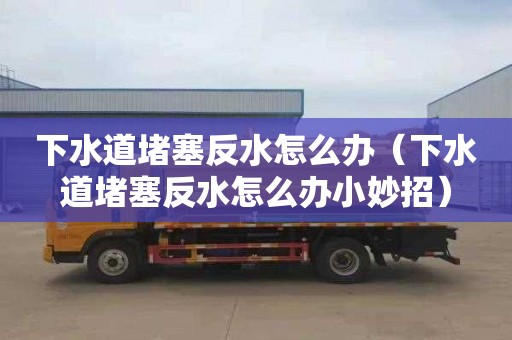 下水道堵塞反水怎么办（下水道堵塞反水怎么办小妙招）