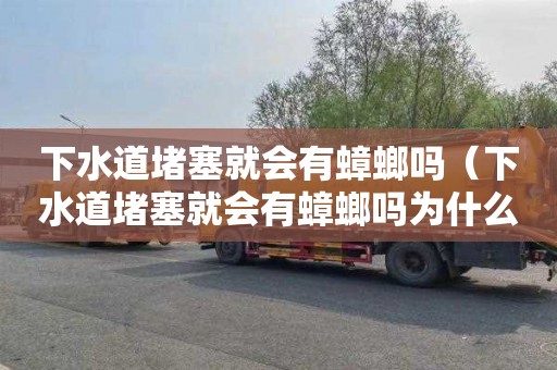下水道堵塞就会有蟑螂吗（下水道堵塞就会有蟑螂吗为什么）