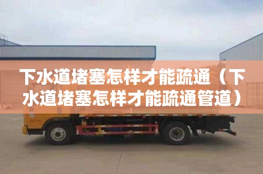 下水道堵塞怎样才能疏通（下水道堵塞怎样才能疏通管道）