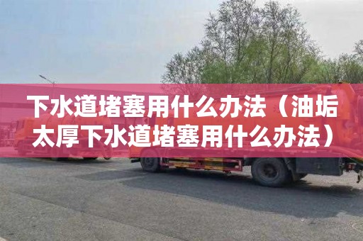 下水道堵塞用什么办法（油垢太厚下水道堵塞用什么办法）