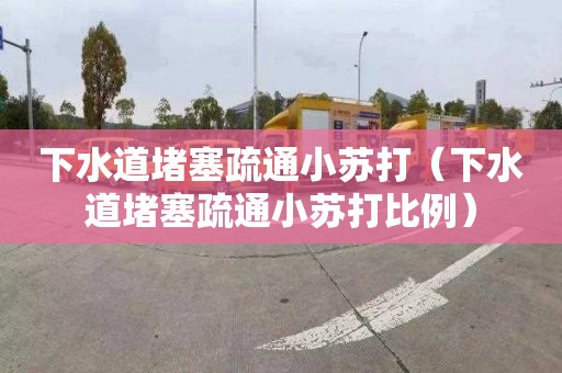 下水道堵塞疏通小苏打（下水道堵塞疏通小苏打比例）
