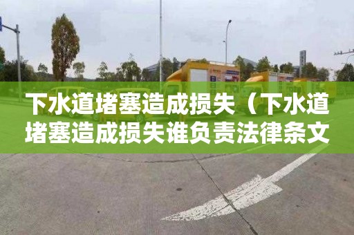 下水道堵塞造成损失（下水道堵塞造成损失谁负责法律条文）