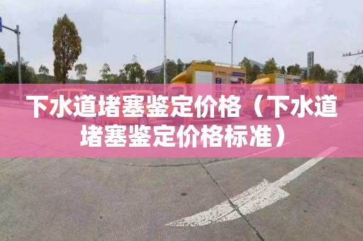 下水道堵塞鉴定价格（下水道堵塞鉴定价格标准）
