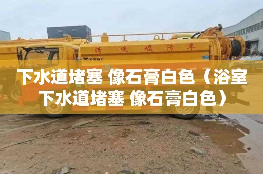 下水道堵塞 像石膏白色（浴室下水道堵塞 像石膏白色）