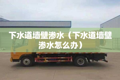 下水道墙壁渗水（下水道墙壁渗水怎么办）