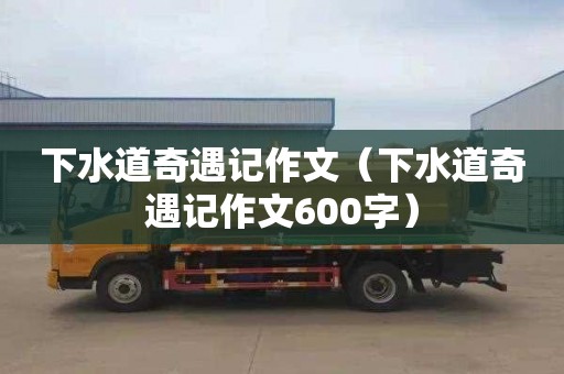下水道奇遇记作文（下水道奇遇记作文600字）