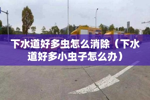 下水道好多虫怎么消除（下水道好多小虫子怎么办）