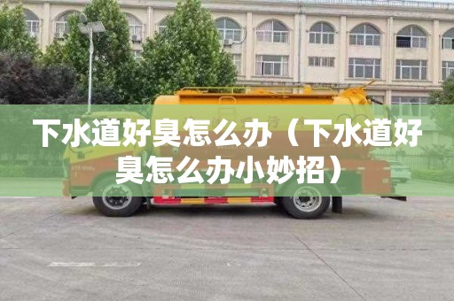 下水道好臭怎么办（下水道好臭怎么办小妙招）