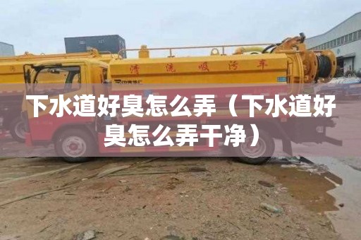 下水道好臭怎么弄（下水道好臭怎么弄干净）