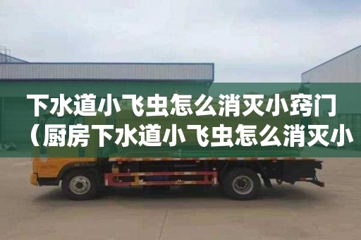 下水道小飞虫怎么消灭小窍门（厨房下水道小飞虫怎么消灭小窍门）