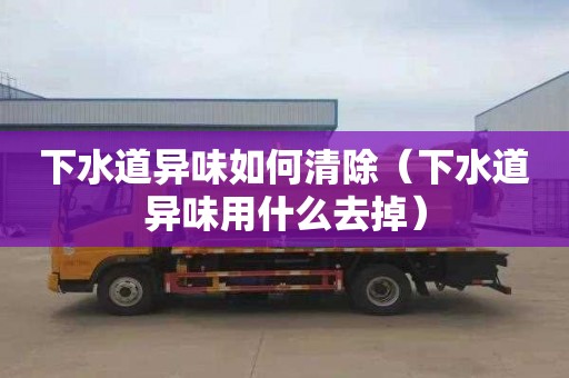 下水道异味如何清除（下水道异味用什么去掉）
