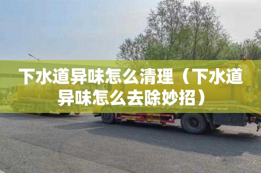 下水道异味怎么清理（下水道异味怎么去除妙招）