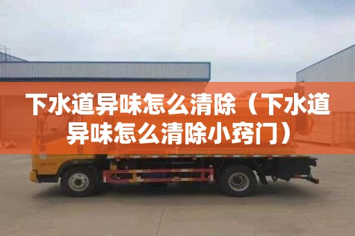 下水道异味怎么清除（下水道异味怎么清除小窍门）