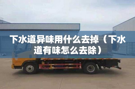 下水道异味用什么去掉（下水道有味怎么去除）
