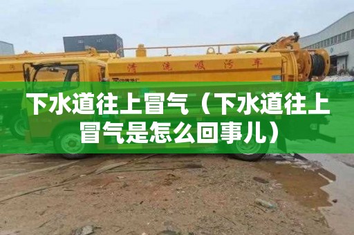 下水道往上冒气（下水道往上冒气是怎么回事儿）