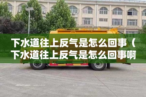 下水道往上反气是怎么回事（下水道往上反气是怎么回事啊）