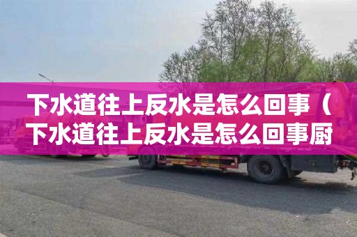 下水道往上反水是怎么回事（下水道往上反水是怎么回事厨房）