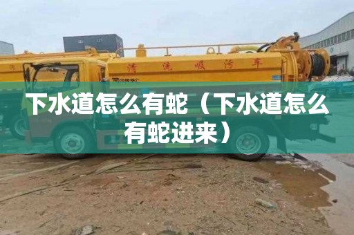 下水道怎么有蛇（下水道怎么有蛇进来）