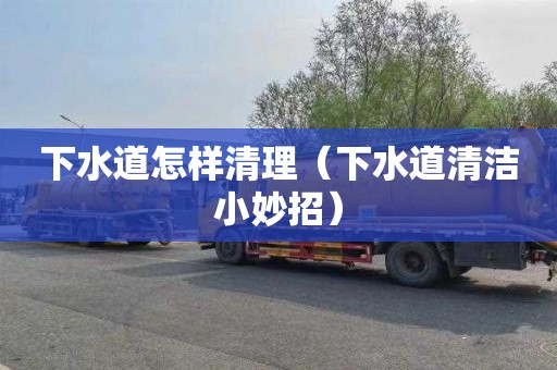 下水道怎样清理（下水道清洁小妙招）
