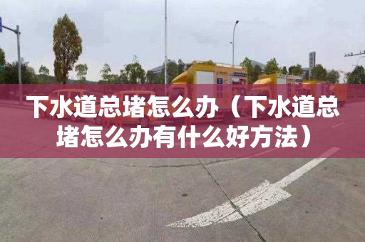 下水道总堵怎么办（下水道总堵怎么办有什么好方法）