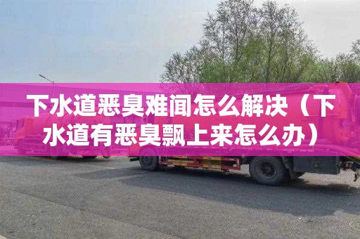下水道恶臭难闻怎么解决（下水道有恶臭飘上来怎么办）