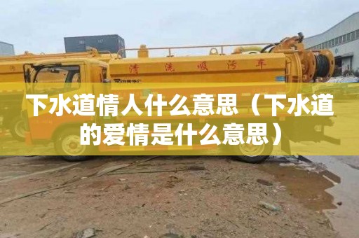 下水道情人什么意思（下水道的爱情是什么意思）