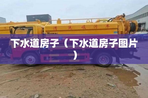 下水道房子（下水道房子图片）