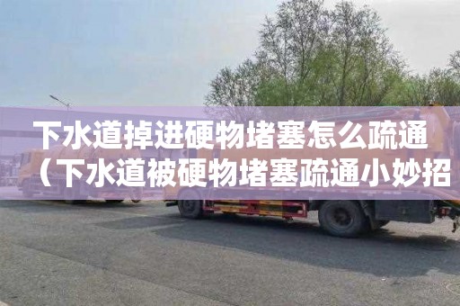 下水道掉进硬物堵塞怎么疏通（下水道被硬物堵塞疏通小妙招）