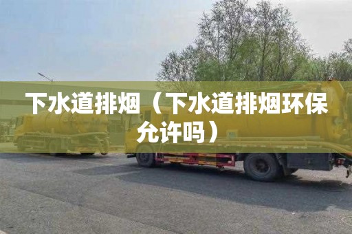 下水道排烟（下水道排烟环保允许吗）