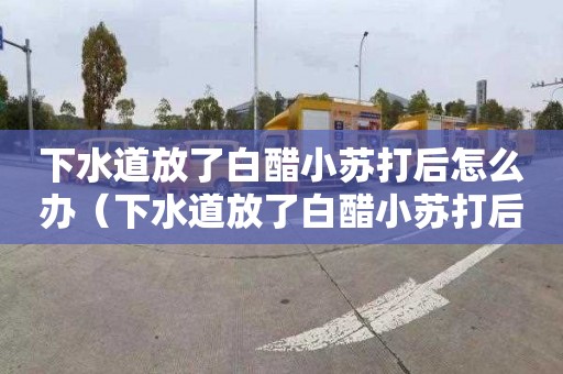 下水道放了白醋小苏打后怎么办（下水道放了白醋小苏打后怎么办呢）