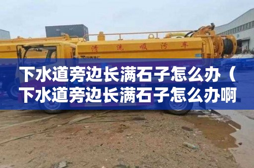 下水道旁边长满石子怎么办（下水道旁边长满石子怎么办啊）