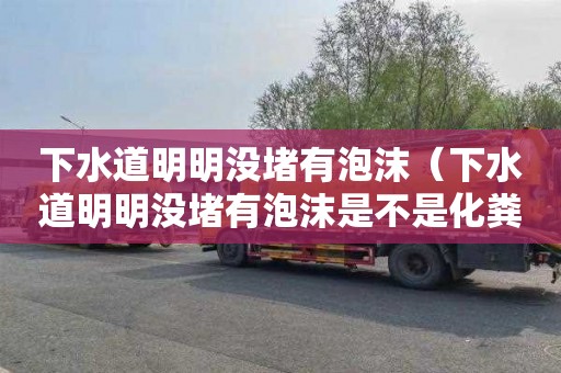 下水道明明没堵有泡沫（下水道明明没堵有泡沫是不是化粪池满了）