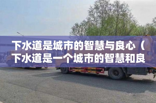 下水道是城市的智慧与良心（下水道是一个城市的智慧和良心）
