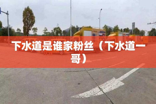 下水道是谁家粉丝（下水道一哥）