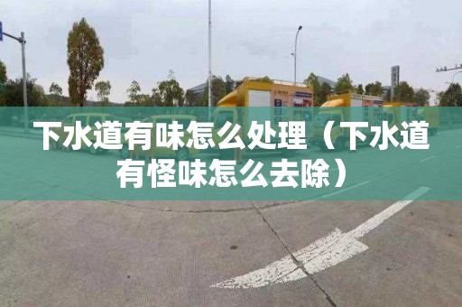 下水道有味怎么处理（下水道有怪味怎么去除）