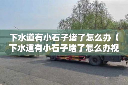 下水道有小石子堵了怎么办（下水道有小石子堵了怎么办视频）
