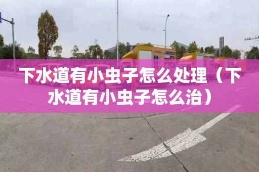 下水道有小虫子怎么处理（下水道有小虫子怎么治）
