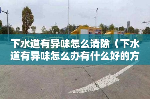 下水道有异味怎么清除（下水道有异味怎么办有什么好的方法）