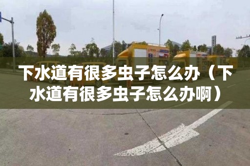 下水道有很多虫子怎么办（下水道有很多虫子怎么办啊）