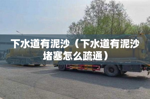 下水道有泥沙（下水道有泥沙堵塞怎么疏通）