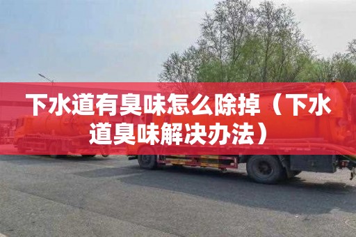 下水道有臭味怎么除掉（下水道臭味解决办法）